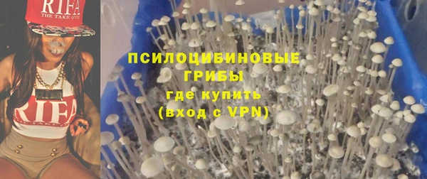 PSILOCYBIN Протвино