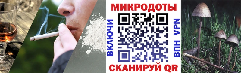 Псилоцибиновые грибы Psilocybe  закладки  Гаврилов Посад 